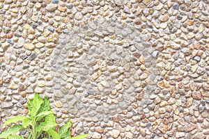 Modern style natural patterns decorative uneven mix real stone wall texture on concrete background and flower leaf