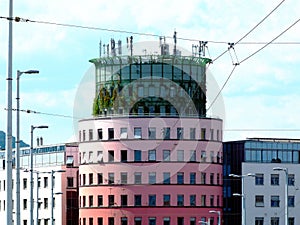 Modern style pink and green circular shape office building