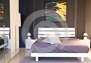 Modern stylish bedroom