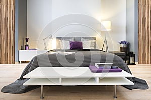 Modern stylish bedroom