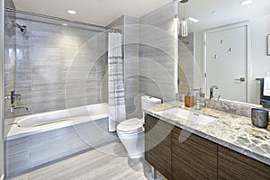 Elegante un appartamento il bagno progetto grigio rivestimenti 