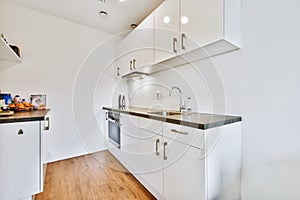 Modern stylish kitchen