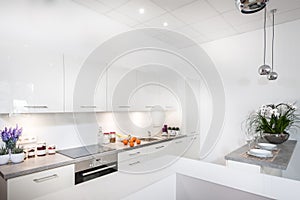 Modern stylish kitchen