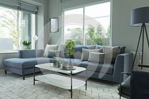 Modern and stylish living room, blue sofa and grey pillow with coffee table