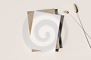 Modern summer stationery still life. Lagurus ovatus grassy foliage, craft envelope and long shadows. Blank greeting card