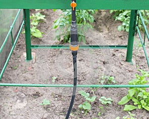 Modern system in agronomy drip irrigation to save water and freshness and nutrition of plants in the garden, dropper dispensers