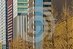 Modern Tall Buildings, Chiyoda District, Tokyo, Japan