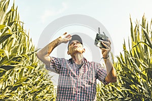 Modern technological farmer analyzing the growth of corn by flying a drone over his cultivated fields