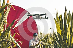 Modern technological farmer analyzing the growth of corn by flying a drone