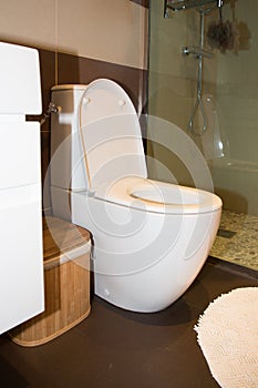 Modern toilet bowl in luxury bathroom interior for home house