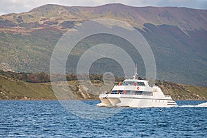 Modern tour boat, catamaran is sailing with tourists at Beagle Channel to watch wildlife in Patagonia, near Ushuaia, Argentina