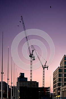 Modern tower cranes constructing buildings sunset city construction site beautiful orange blue sunrise dawn sky. Silhouette crane.