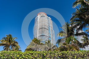 Modern towerblocks bottom view on blue sky with palms and hedge in South Beach, USA
