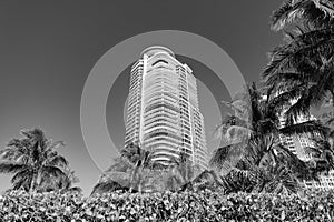 Modern towerblocks bottom view on blue sky with palms and hedge in South Beach, USA