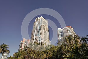 Modern towerblocks high-rise buildings architecture and palms on blue sky in South Beach, USA