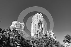 Modern towerblocks high-rise buildings architecture and palms on blue sky in South Beach, USA