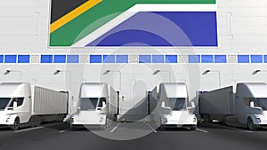 Modern trailer trucks load or unload at warehouse bays with flag of South Africa. logistics related conceptual 3D