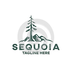 Modern tree sequoia logo. Vector illustration photo