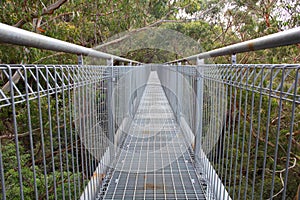 Tree top gangway steel construction in Australia photo