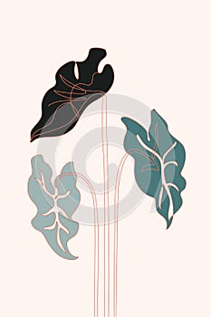 Modern trop[ical leaves set. Abstract trendy decorative leaves silhouette with outline photo