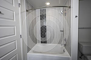 Modern tub and shower setup