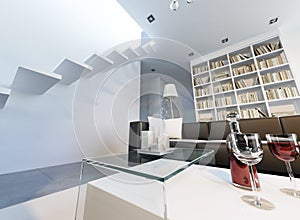 Modern upscale interior duplex