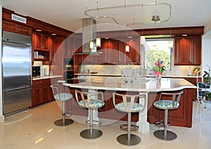 Modern, Upscale Kitchen