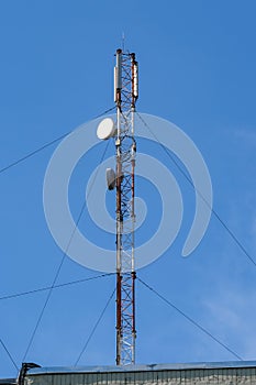 Modern urban cellular antenna