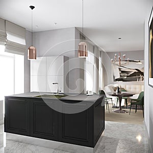 Modern Urban Contemporary Gray Kitchen Interior