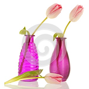 Modern vases with tulips