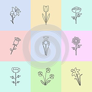 Modern vector line icons with different kind of garden flowers.