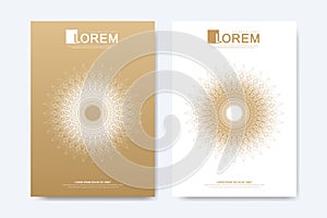 Modern vector template for brochure, Leaflet, flyer, advert, cover, magazine or annual report. Islamic design book