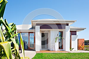 Modern villa with a lawn near a long leaf tree and blue sky