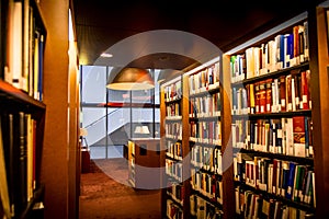 Modern, warm and cosy library, with shelves full of books and beautiful lamps