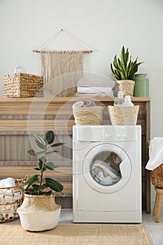 Modern washing machine and plants in laundry room