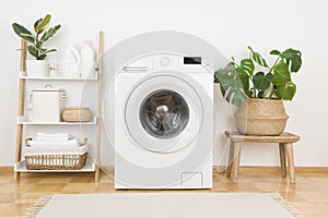 Modern washing machine and plants in rustic laundry room interior