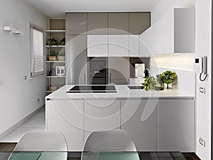 Modern white kitchen