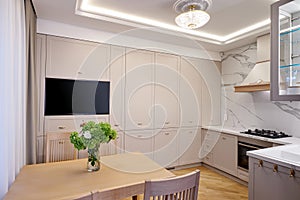 Modern white kitchen clean interior design