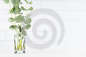 Modern white kitchen interior - glossy rectangle ceramic tiles on wall, summer bouquet of green eucalyptus twigs in glass