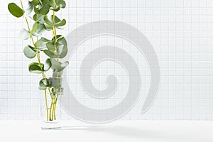 Modern white kitchen interior - tiny ceramic tiles on wall, summer bouquet of green eucalyptus twigs in sunlight