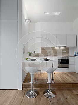 modern white kitchen interior with wood floor
