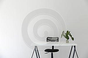 Modern white office interior with white table, black chair and green leaf vase