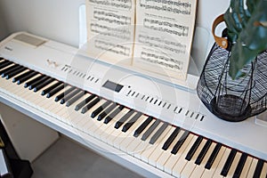 Pianoforte musica foglie dettagliato 