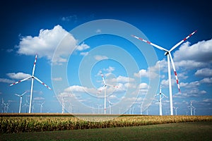Modern wind turbines in nature