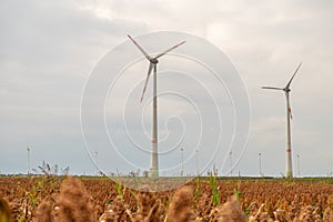 Modern wind turbines at a wind park renewable energy, agricultural field in front, during cloudy day, low angle view