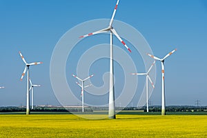 Modern wind wheels in a field of blooming rapeseed oil