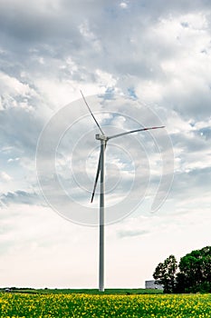 Modern windmill in a bright green field with yellow flowers. And blue sky with white clouds over windmill