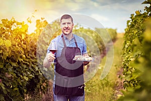 Modern winemaker in vineyard holding glass of red wine and variety of italian food