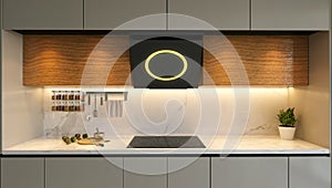 Modern wood and lacquer kitchen cabinet 3d rendering