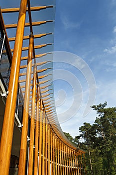 Modern wooden architecture in nature 2